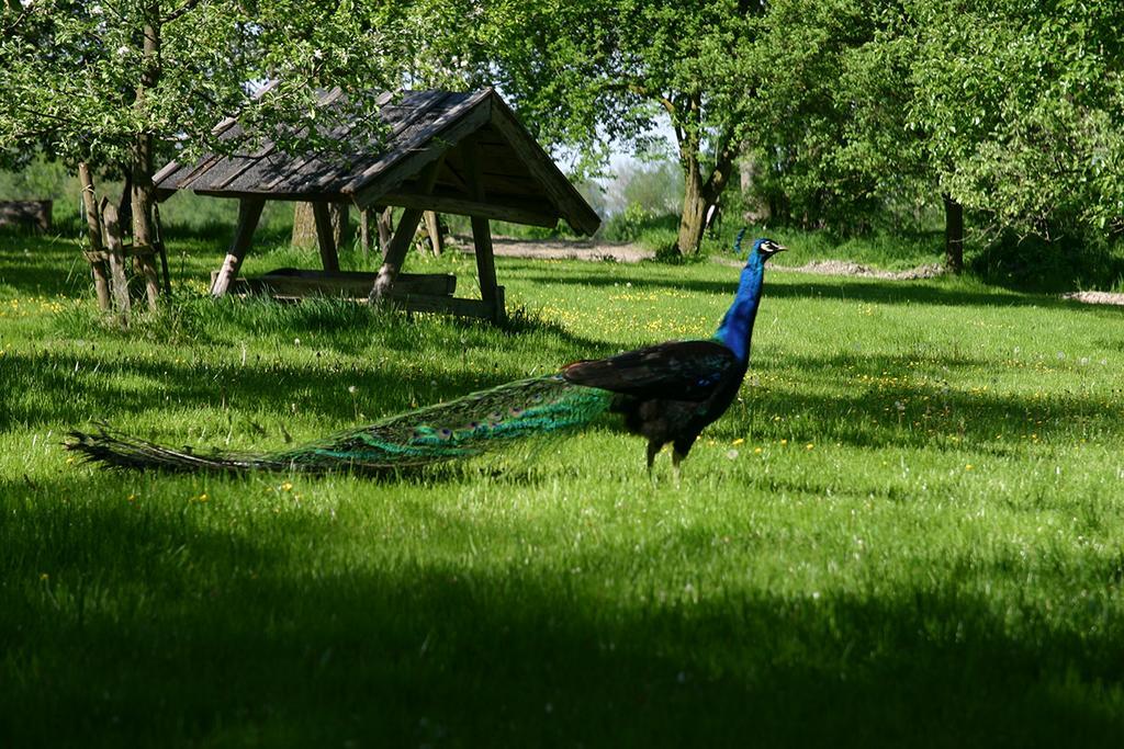 Appartementhof Stadler Pocking  Luaran gambar